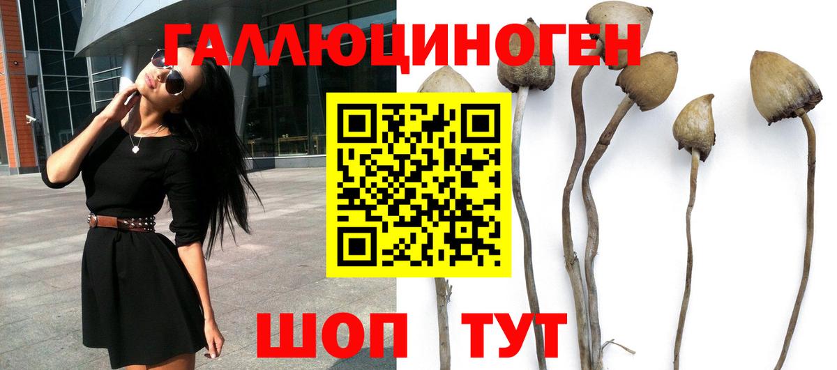как найти закладки  Галлюциногенные грибы ЛСД  Вход с VPN  Коряжма 